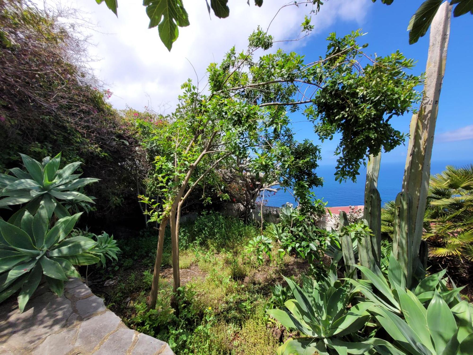 La Matanza De Acentejo Willkommen Im Paradies - Welcome In Paradise - Bienvenidos Al Paraiso מראה חיצוני תמונה